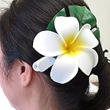 ハワイ フラダンス フラガール に大人気です ハワイ大好き、 フラワークラウン 花冠 髪飾り 花 プルメリア モンステラ