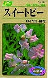 カネコ種苗 草花タネ127 スイートピー ロイヤル 桃花 10袋セット