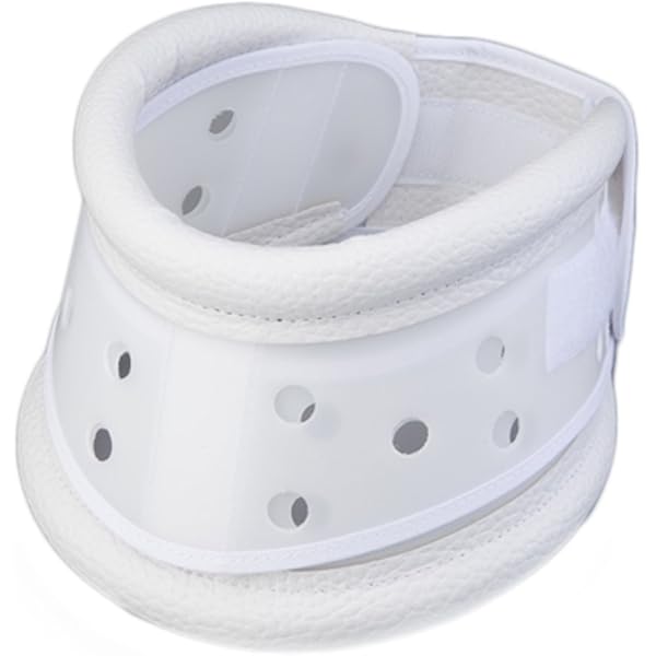 シロクマ　　カバー付き 楽天市場】シロクマ社WB GC-LX本体ケースのみゴールド色 バック