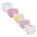 (ビッグエレファント) Big Elephant　ベビー　女の子　下着　ブリーフ　パンツ　蝶結び　レース　トッド柄　可愛い　5枚セット　6ヶ月-3歳　B74