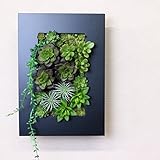 A plus floral art インテリアグリーン ブラックフレーム アレンジ オアシス フェイクグリーン 観葉植物 造花 壁掛け