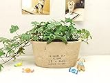 植木鉢 おしゃれ 3号 寄せ植え テラコッタ 素焼き オーバル アンティーク 取っ手付き バスケット 幅20.5cm ブラウン ベージュ 【メイリネンバッグ・オーバルM】