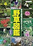 野草図鑑 新装版 (Boutique books)