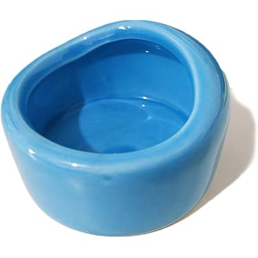 Amazon.co.jp ほしい物ランキング: 小動物用餌やり・水やり用品 で