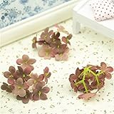 100個/ロット900heads Mini Stamenシルク梅の花人工花頭ウェディングデコレーションWreathスクラップブックフェイク花 One Size ブラウン SEDFGJ326864239