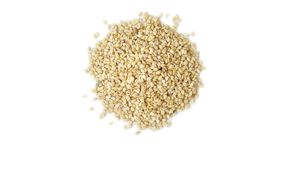 Amazon 有機ホワイトセサミシード250g Living Life Marketplace リビングライフマーケットプレス 健康食品 通販 Amazon 有機ホワイトセサミシード250g Living Life Marketplace リビングライフマーケットプレス 健康食品 通販