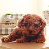VANCORE ぬいぐるみ抱き枕 かわいい動物クッション ふわふわ猫 犬 リアル 本物ような高画質 お誕生日プレゼント(6種類 約40cm)トイプードル