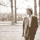 ブリリアント・トゥリーズ - デヴィッド・シルヴィアン