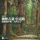 �u���R���v�F��Ó� ���ӘH �������̗��`��剤�q