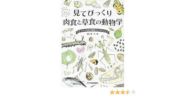 見てびっくり 肉食と草食の動物学 ゲッチョ先生の動物コレクション 満 盛口 本 通販 Amazon