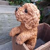 犬の置物 プードル ハンギングドッグ ６１４７Ｈ いぬ イヌ 動物 オーナメント ガーデン オブジェ 庭 雑貨 ガーデニング インテリア マスコット