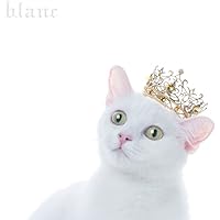 Amazon.co.jp: Aimer special concert with スロヴァキア国立放送