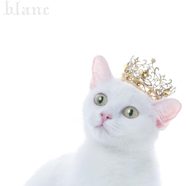 Aimer オーケストラコンサートBlu-ray 初回限定