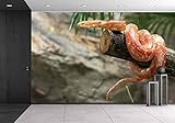 wall26 – 自己粘着壁紙大壁壁画シリーズ 100"x144" WMR-WP-X-C444-100x24x6