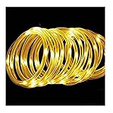 SAILUN LED イルミネーション 2芯 丸型 ロープ ライト 100LED (10 m) 防水 対応 屋外 屋内 電飾 飾り付け クリスマス 結婚式 (ゴールド)