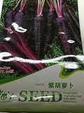 【 珍しい野菜の種】　黒色にんじん種　(30粒入)　糖度約12度前後 とても甘い黒人参 珍しいにんじん　アントシアニン豊富　抗酸化　