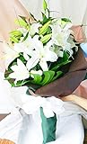 花由 最高級 カサブランカ（ユリ）の花束 －お供えの花束－【百合 供花 枕花 仏花 法事 仏事 弔辞用】