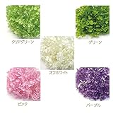 アジサイ　ソフトアナベル　小分けパック　プリザーブドフラワー　花材　プリザービング (グリーン)