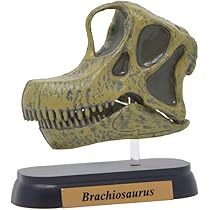 Amazon | ダイナソースカルミニモデルセット(FDW-570) 通販