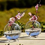 養液栽培の観葉植物などボールの形のガラスの花瓶を家庭の装飾