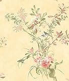 York Wallcoverings av2856明るいの野生花の壁紙、オレンジ