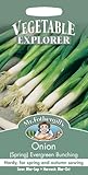 MFVX 英国ミスターフォザーギルズシード VEGETABLE EXPLORER Onion (Spring) Evergreen Bunching オニオン（スプリング）・エバーグリーン・バンチング