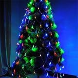 LUCKY CLOVER-A クリスマスの妖精ランタン屋外防水4M x 6M 880 LED屋内と屋外の家庭の暴動パーティーの結婚式の装飾（カップル）、カップル