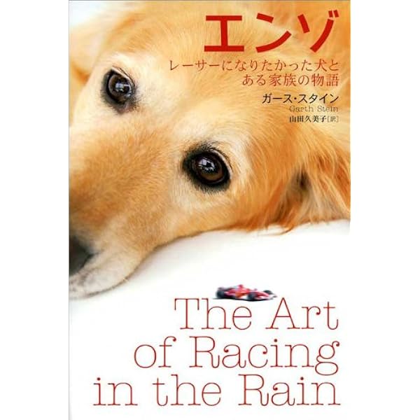 (未使用･未開封品)The Art of Racing in the Rain [DVD] The Art of Racing in the Rain (DVD, 2019) for sale online | eBay