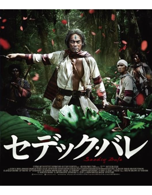 Amazon.co.jp: 海角七号/君想う、国境の南 [DVD] : ファン・イーチェン