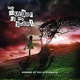 Echoes of the Aftermath