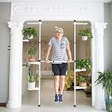 LIAN フラワースタンドリビングルームバルコニー吊り茶色植物工場スタンドシンプルな室内フラワーポットスタンド (色 : Composite steel, サイズ さいず : ダブル)