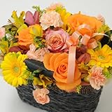 エーデルワイス 【オレンジブロッサム】 黄色 オレンジ ビタミンカラー