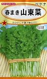 トーホク 春まき山東菜