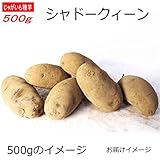 じゃがいも 種芋 シャドークイーン 500g ジャガイモ