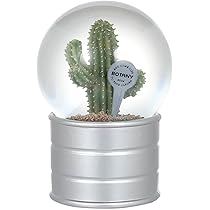 新品 スノードーム カクタス ウィズマン ダルトン サボテン オブジェ 植物 新品 スノードーム カクタス ウィズマン ダルトン サボテン