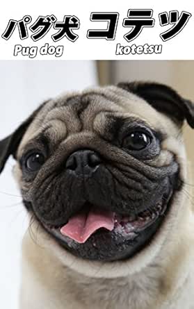 パグ犬 コテツ 写真集 Iss Promotion 出版 写真 Kindleストア Amazon