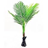 MIRACLE 【 まるで本物 】 観葉植物 造花 リアルプラント08 大型 人工 部屋 リアル 会社 緑 おしゃれ インテリア フェイクグリーン MC-KUI-E8-90