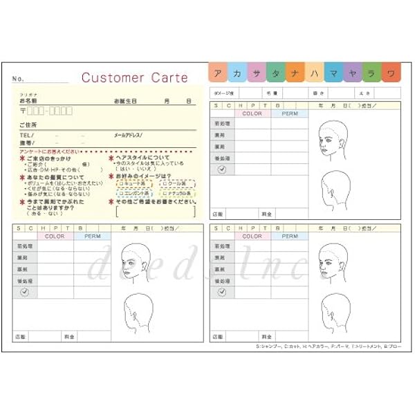 Amazon Deeds 美容室用顧客カルテb 100枚 Dp Salon Professional 日用品ギフトセット