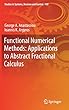 Functional Numerical Methods: Applications to Abstract Fractional Calculus (Studies in Systems, Decision and Control)