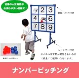 ナンバーピッチング