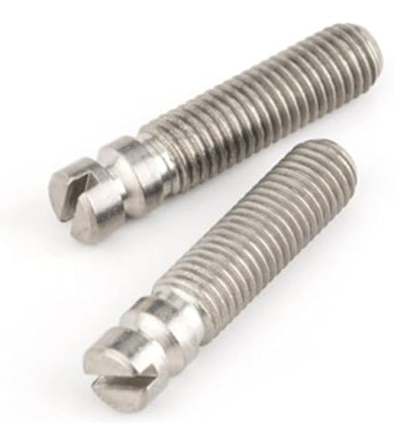 Amazon | Fender デラックスシリーズ ストラトキャスター ボディ