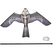 猛禽類、ハト、水鳥マニュアル 猛禽類ハト水鳥マニュアル | ピ-タ- H.ベイノン |本 | 通販 | Amazon