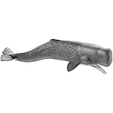 シュライヒ ワイルドライフ マッコウクジラ フィギュア 14764
