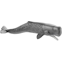 【バラ売り無し】フェバリット クジラセット Amazon | フェバリット ザトウクジラ FM902 | 生物・動物・人体 | おもちゃ