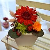 プリザーブドフラワー ギフト　ガーベラポット　[CANDY] (レッド)