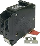 Connecticut Electric VPKWB1515 Wadsworth Circuit Breaker Twin Pole 15-Amp [並行輸入品]