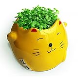 amzmonnsuta DIYミニ動物猫グリーングラス鉢植えデスクトップオフィスインテリア