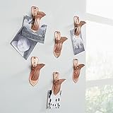 Brylanehome Izzyメタリッククリップ、6のセット ブラウン 20319940046mk0~0