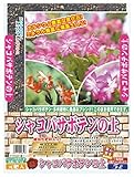 大宮グリーンサービス シャコバサボテンの土 5L