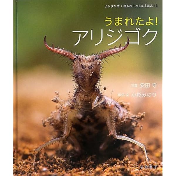 アリジゴクのひみつ 新版 (かんさつシリーズ 新版 2) | 坂水 健祐 |本